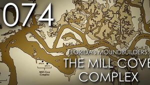 mill cove complex